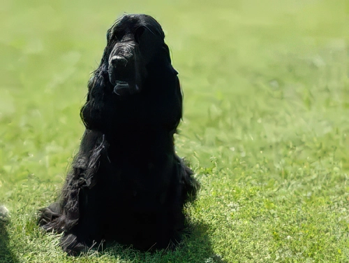 Jasna z Bojnických údolov