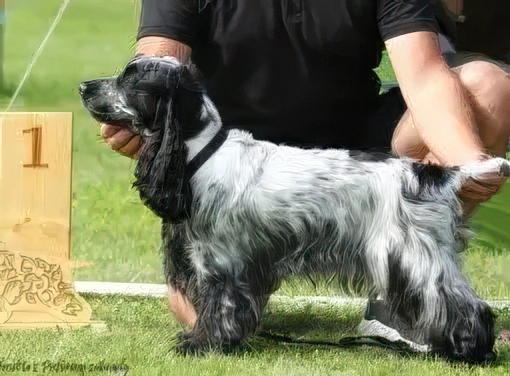 Afrodita z Pistorovy záhrady