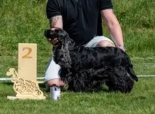 Victory Moravia Mystery